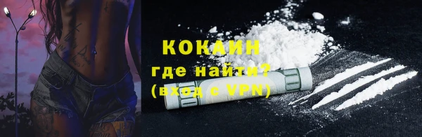 шишки Вязники