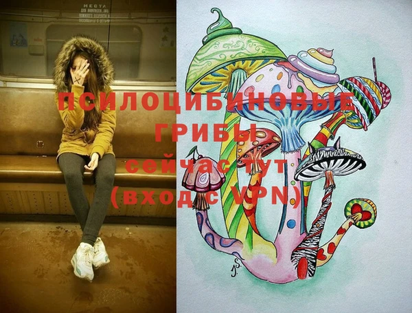 прущая мука Горняк