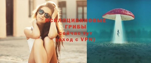 шишки Вязники