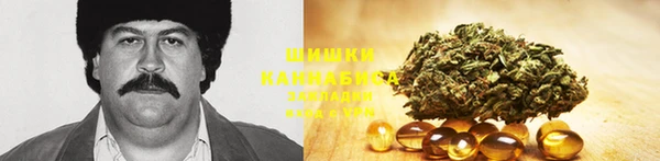 тгк Горно-Алтайск