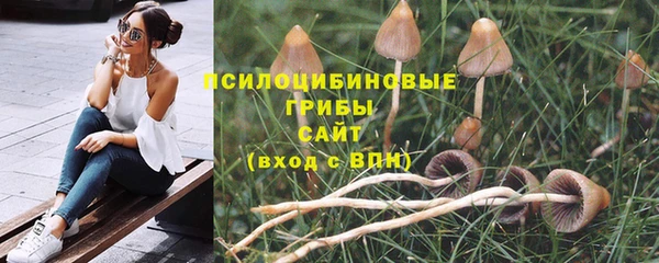 прущая мука Горняк